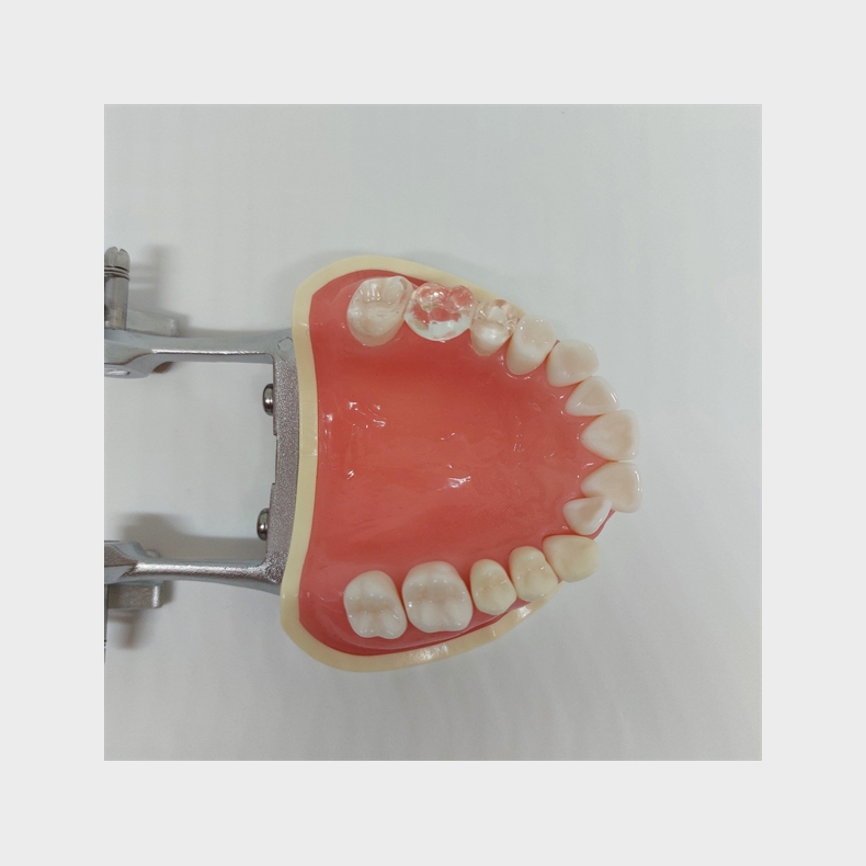 Instruktionsmodel til Tandbrstning 